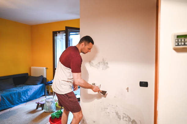 Best White Mold Remediation in Lauderdale Lakes, FL